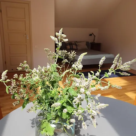 Pensión Nowy Dwór W Goszycach