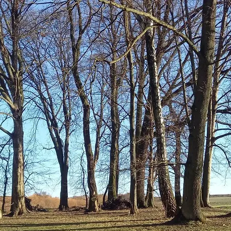 Nowy Dwór W Goszycach