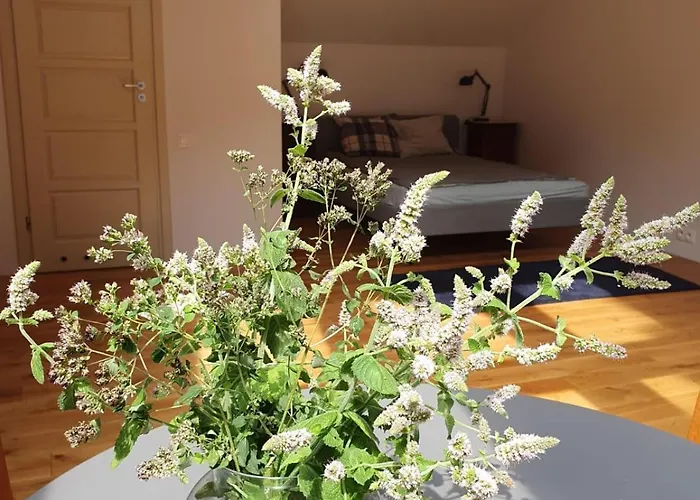 Gasthuis Nowy Dwor W Goszycach