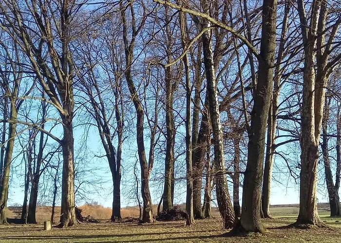 Nowy Dwor W Goszycach